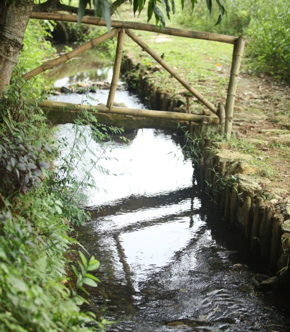 image descriprion